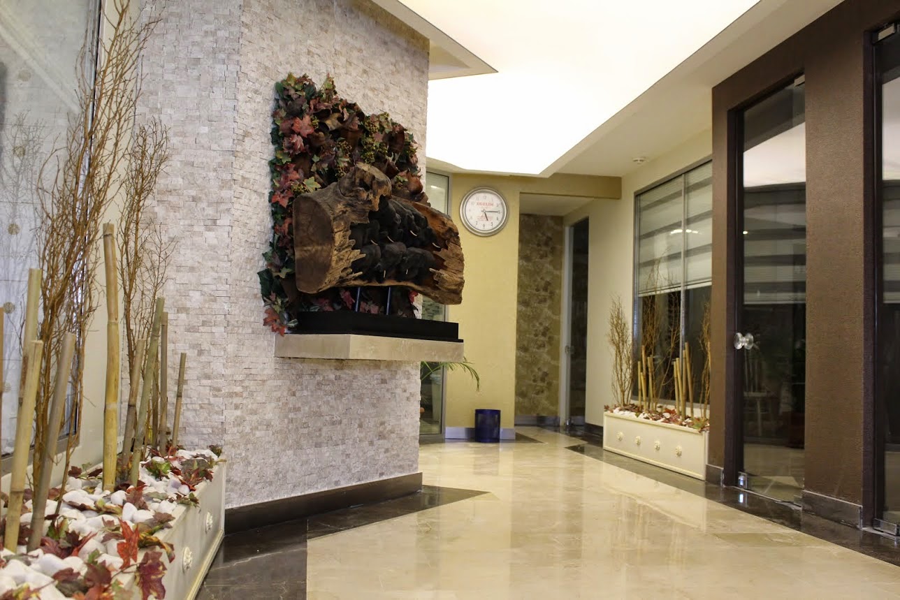 Taş Duvar Dekorasyonu , Taş Duvar Dekorasyon Modelleri Patlatma Taş