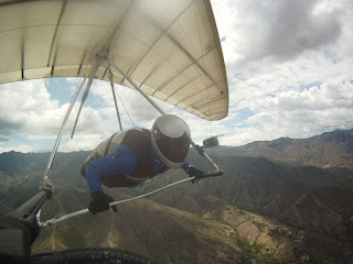 la gloria de los lirios