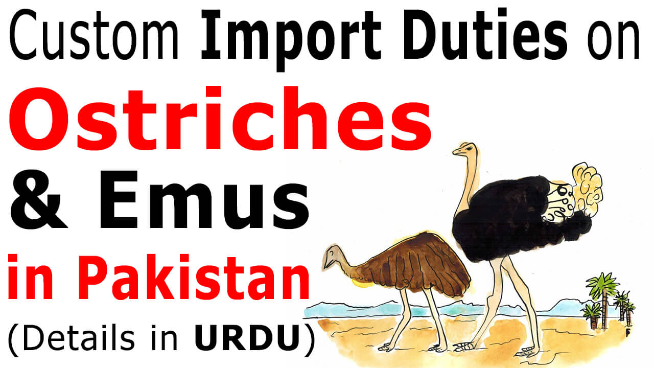 Custom-Import-Duty-on-Ostriches-and-Emus-in-Pakistan
