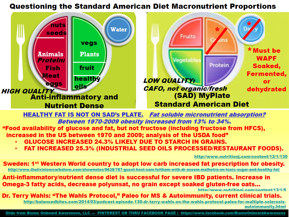 Simply A Healthy Lifestyle The Standard American Diet S.A.D.