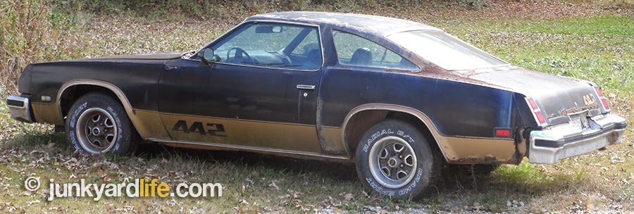 1977 Olds Cutlass 442 found in a yard wearing original Rally wheels, black and gold paint.