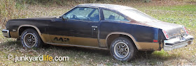 1977 Olds Cutlass 442 found in a yard wearing original Rally wheels, black and gold paint.