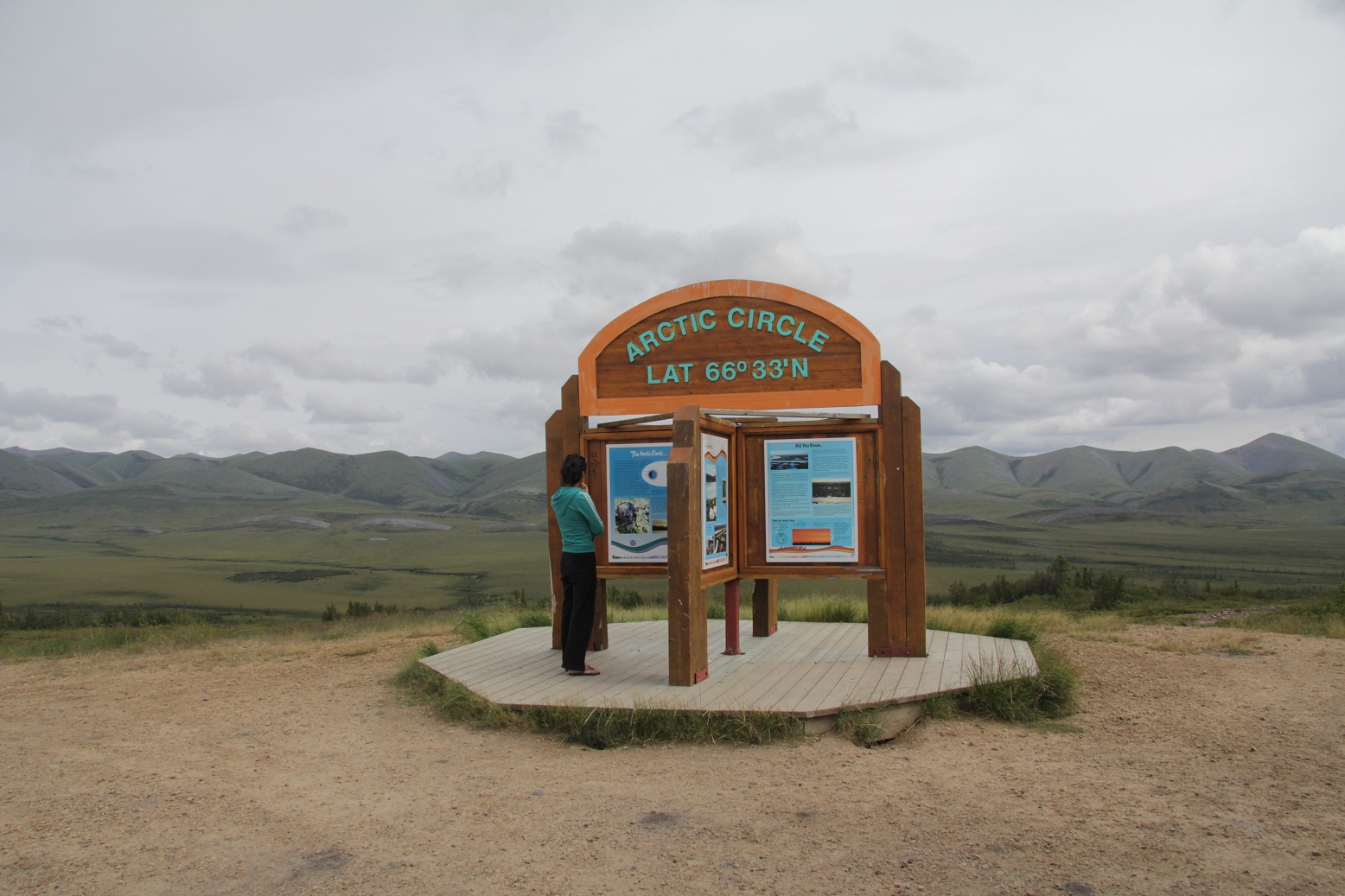 MeetTheMoose! Dawson City, YUKON.