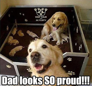 Dog Humor : Dad looks so proud...