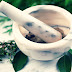Obat Tradisional Cantengan Akut Dari Daun Tempuh Wiyang