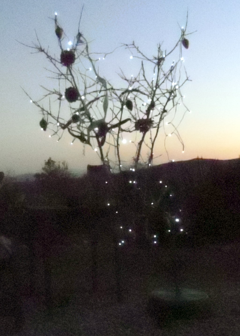 Will's Eats Xmas tree