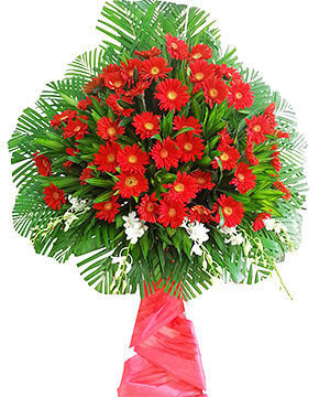 hoa khai truong cong ty