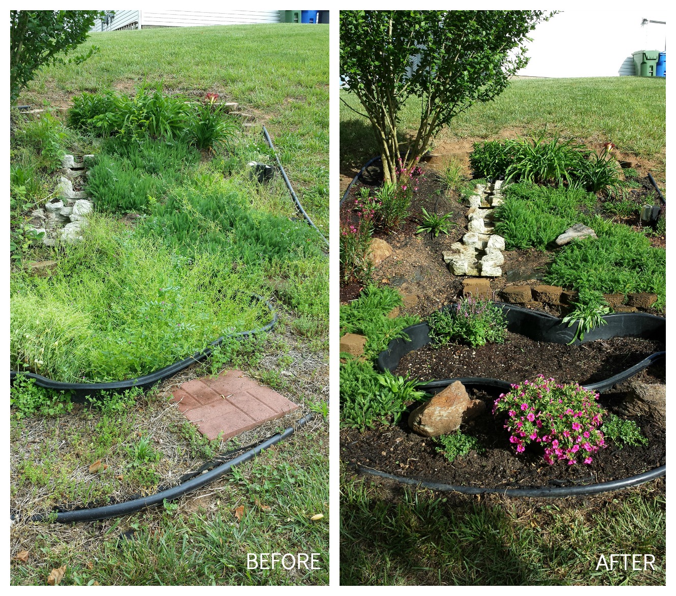 Focal Point Styling Transforming A Water Garden Into Rock Cleaning Up Before After Many Weeds