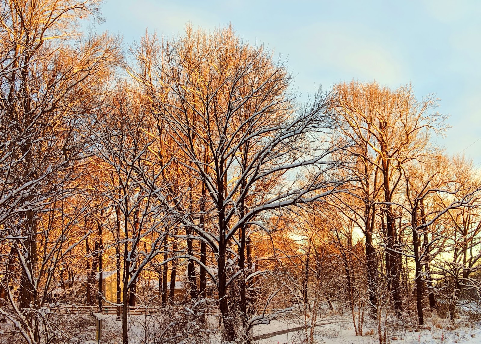 HoCo Connect Snowy Lake Elkhorn