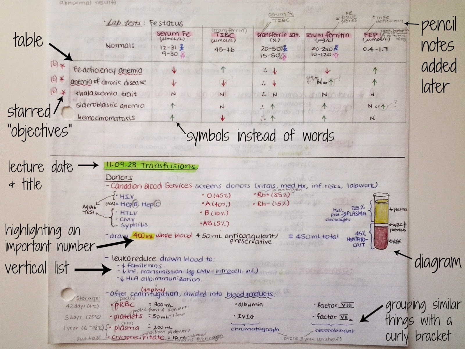 How%2BTo%2BStudy%2Bin%2BUniversity%2BNotes%2B2.jpg