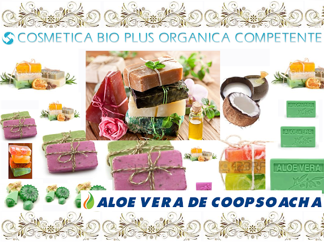 Resultado de imagen para COOPSOACHA PLATAFORMA MARINA