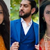 Season 2 : Mishti Veer Pari Ruhan's entangled love story in Silsila Badalte Rishton Ka 2