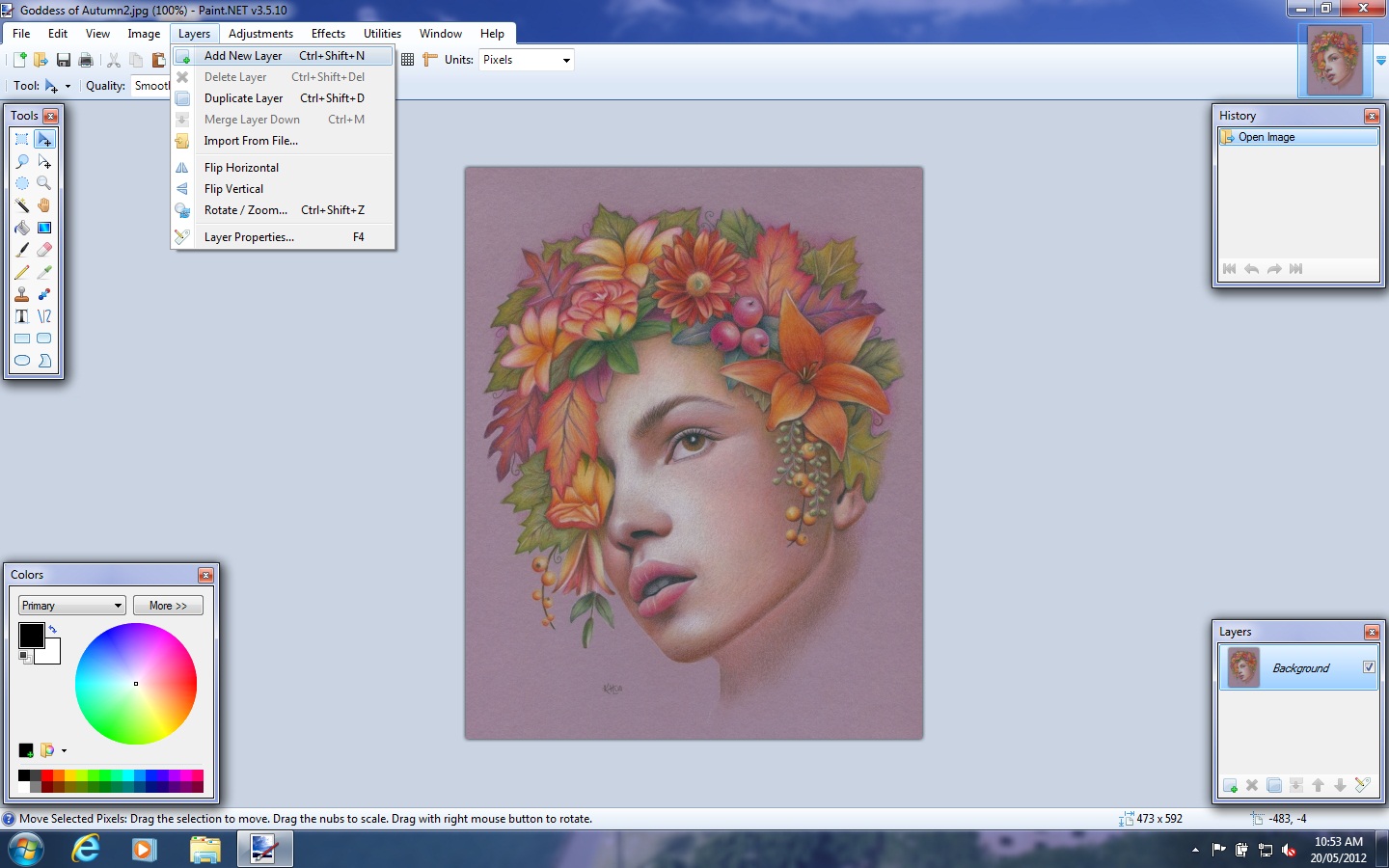 Karen Hull Art How to place a Watermark on your Artwork / Image