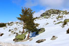 Serra da Estrela - Portugal Serra da Estrela Inverno - Portugal