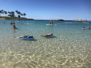 Hawaii Beaches with Kids