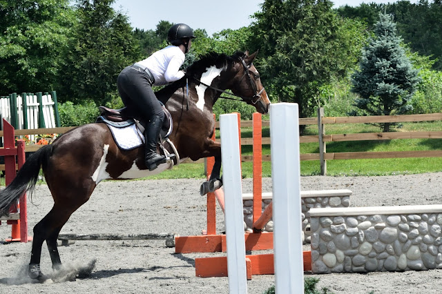 So Cute They Neigh, I Pay