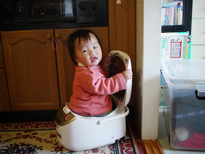 炊飯器に入った赤ちゃんの写真