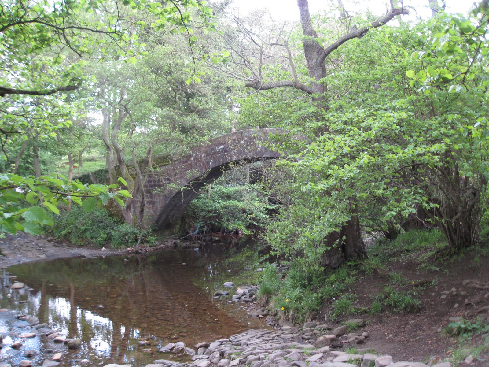 Jim & Gill's Walks Farnley and Lindley Wood