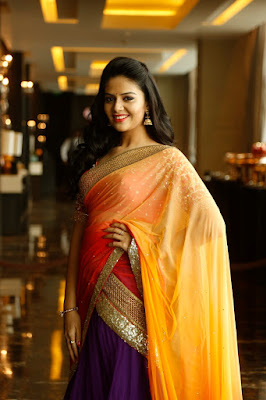SriMukhi in Saree Photos