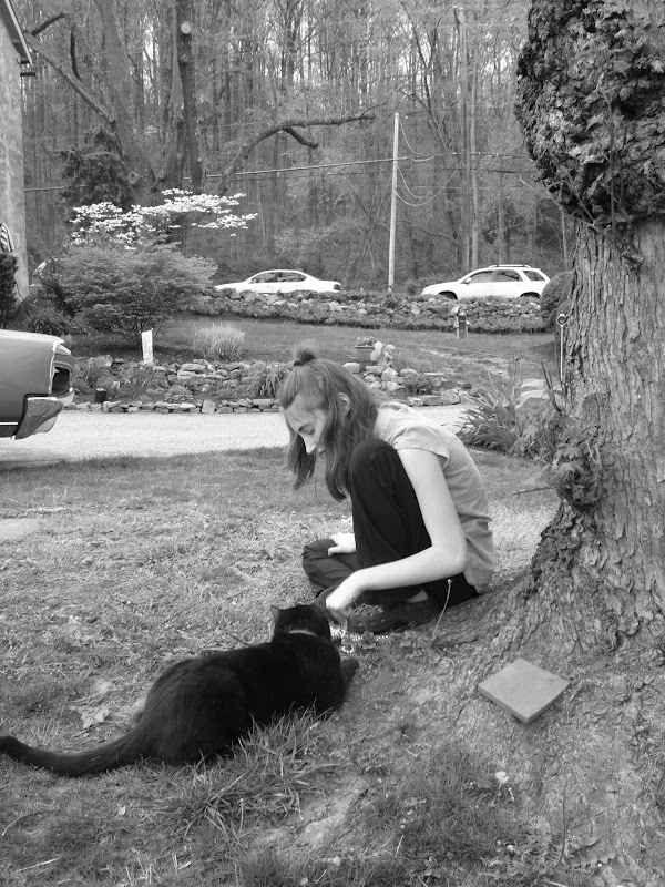Lost In Holland tHERsDay Sitting Vigil