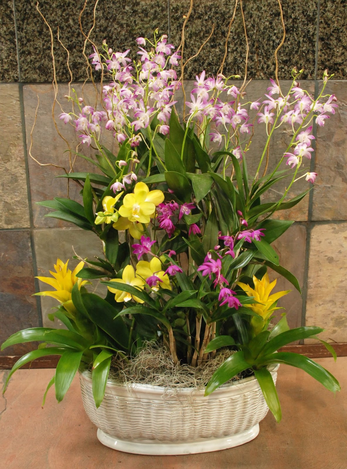 Exotic Plants Sacramento, CA Wedding Florist