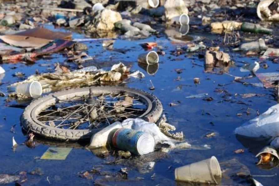 You know? How does water pollution affect the environment and for you? Geting You Know