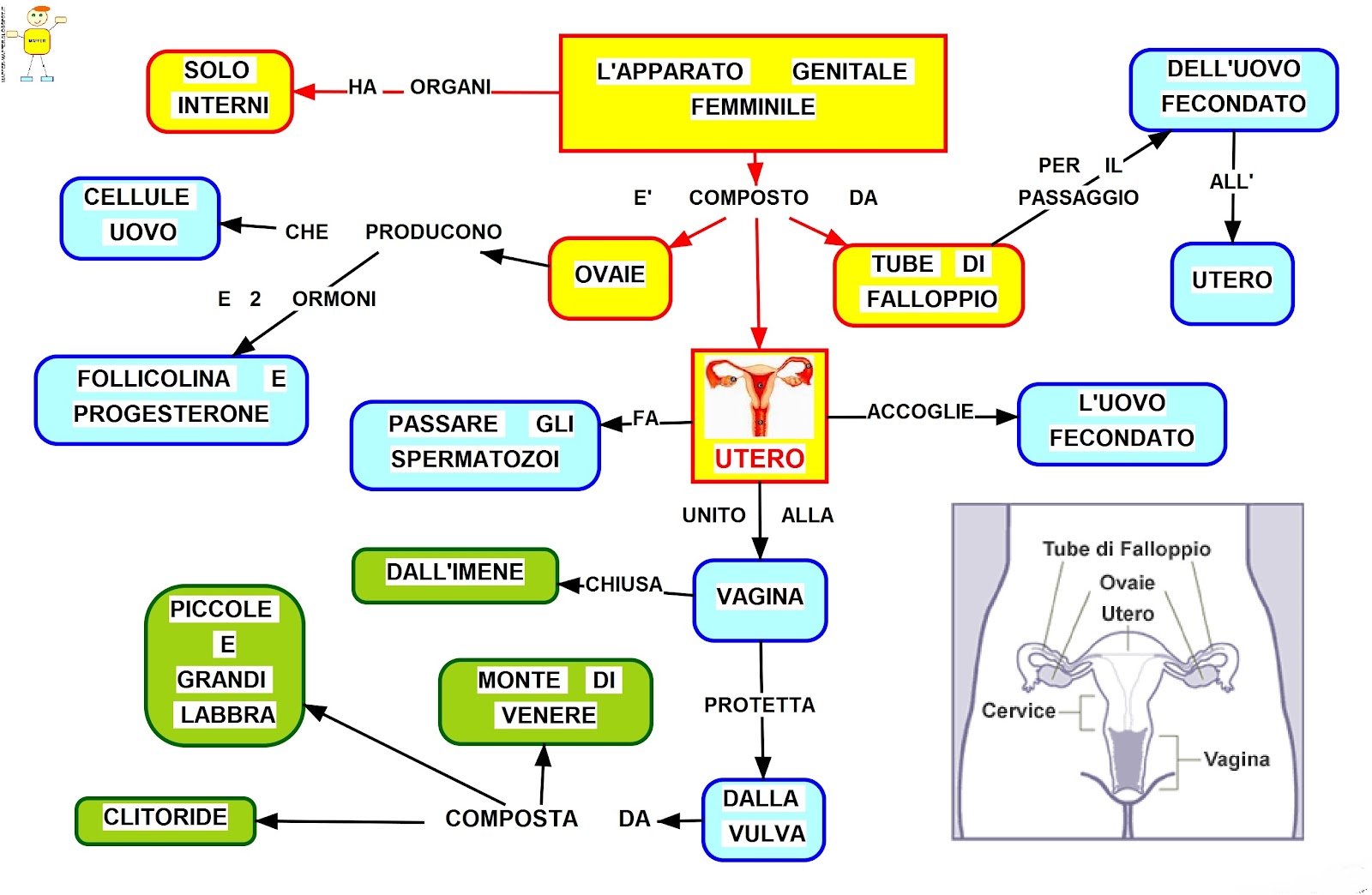 classe3b2012 novembre 2012