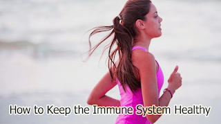 How to Keep the Immune System Healthy