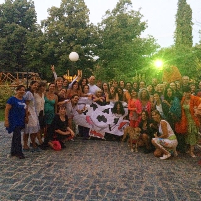 Festival de Verano en San Luis, Argentina, febrero 2015