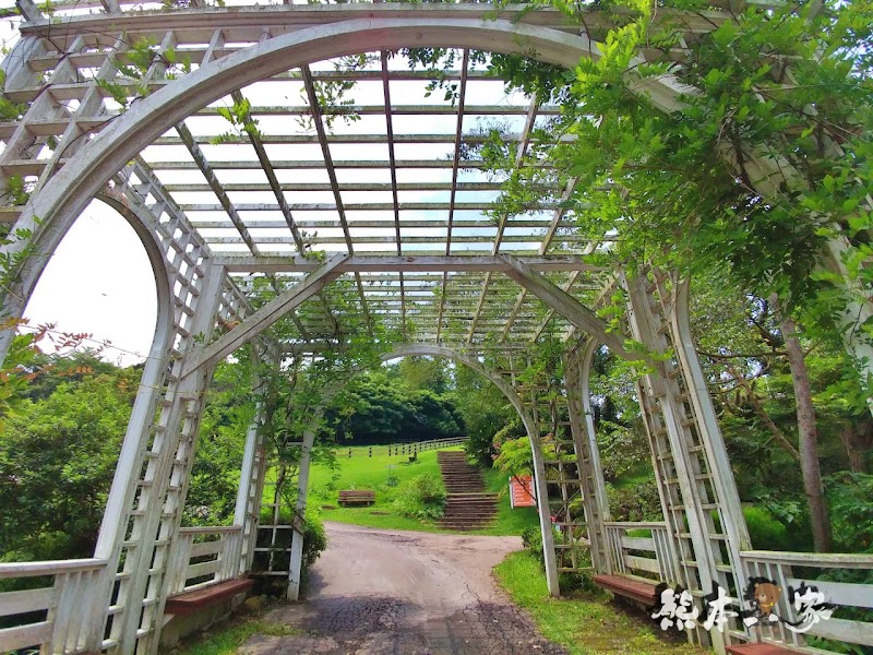 一秒到歐洲|苗栗飛牛牧場|最美牧場和大草原~野餐嬉戲觀乳牛、人工濕地護自然