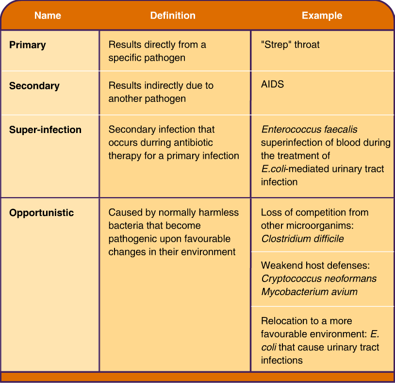 types of bacteria infection #10