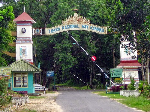 Taman Nasional Way Kambas Lampung