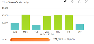 Graph for the week of walking.