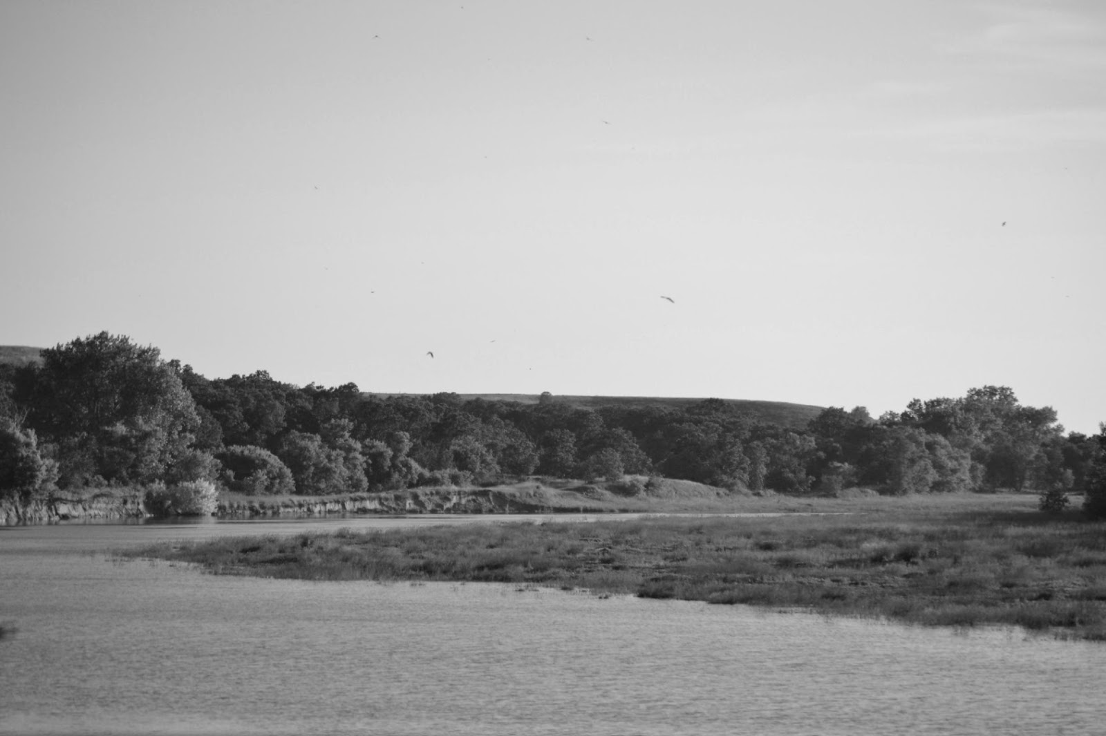 The First Scout Mystic Warriors Of The High Plains Remembering A River