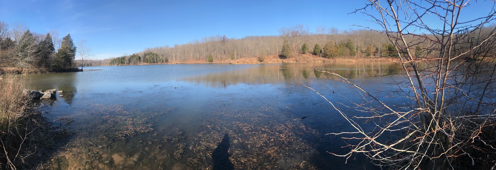 Illinois Botanizer River to River Trail across southern Illinois Day 9