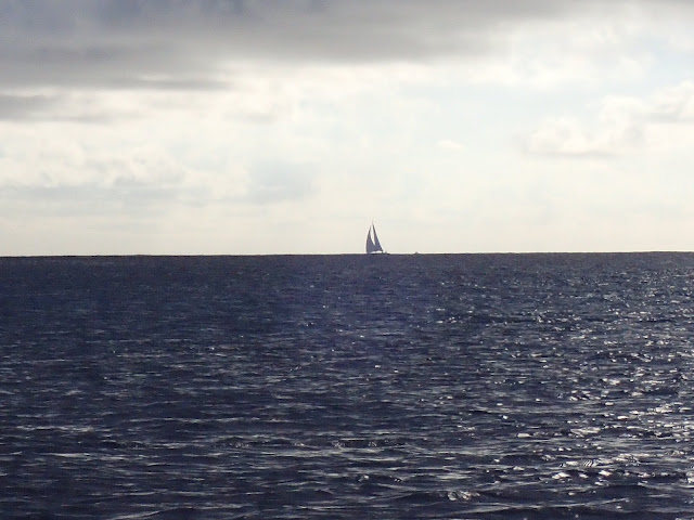 Things we did today : A Week In St Barth #39 s