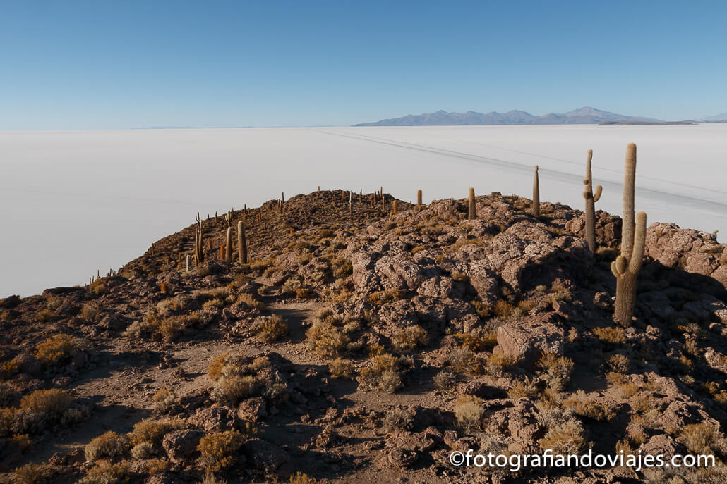 Isla Incahuasi en el salar de Uyuni Isla Incahuasi en el salar de Uyuni