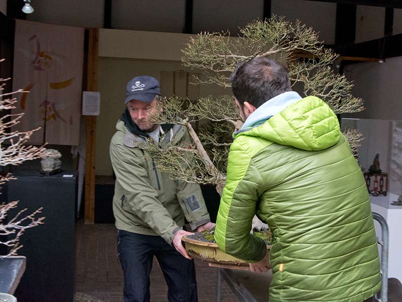 Walter Pall Bonsai Adventures Visit to Bonsai Center Heidelberg, Germany