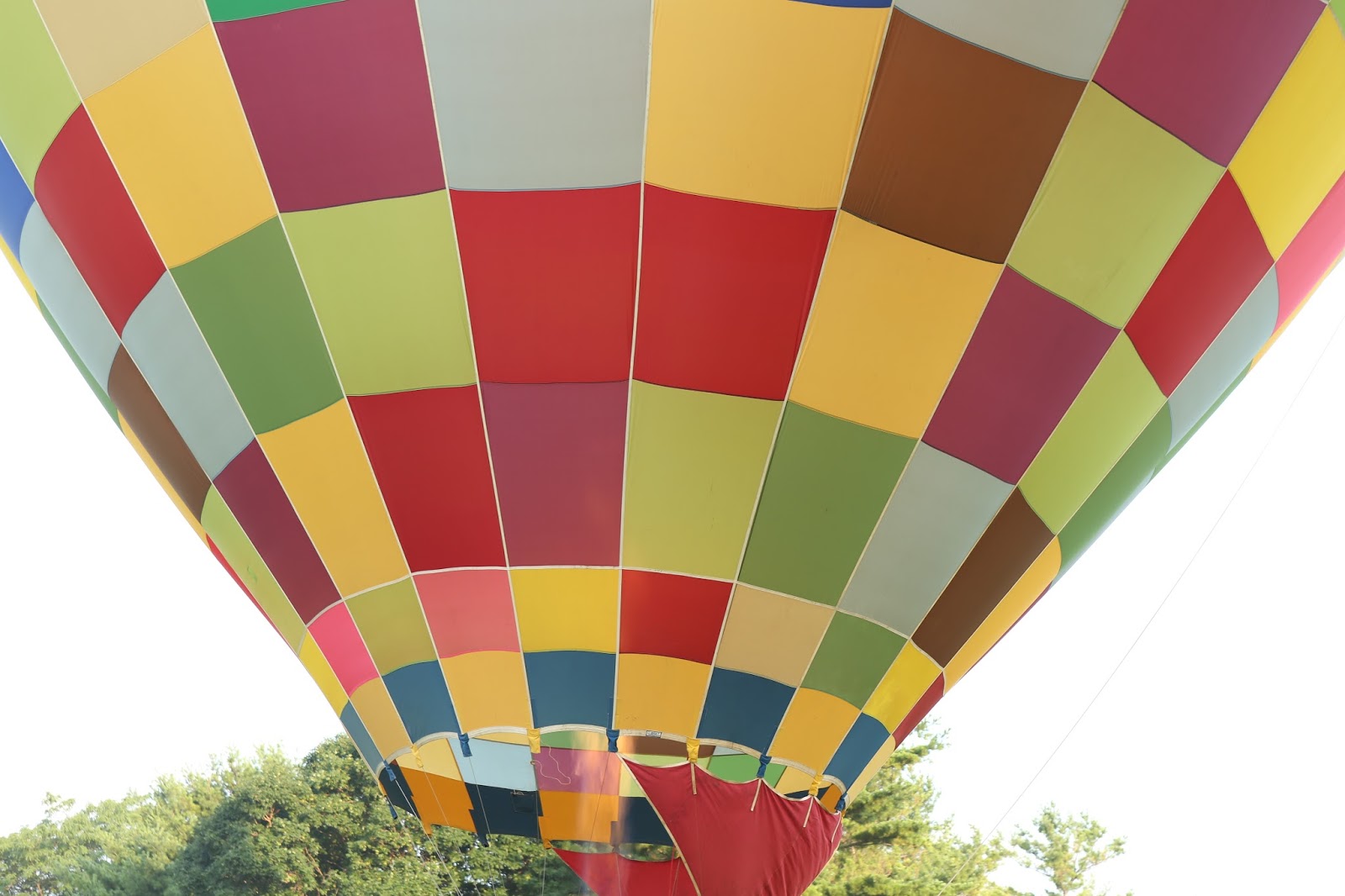 My NW Indiana and More Lisle Hot Air Balloons