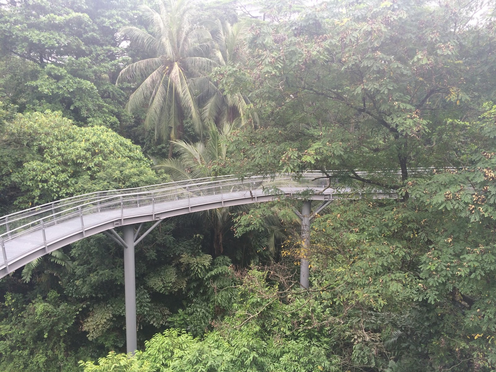 Red Dot Roaming - Kent Ridge MRT - Kent Ridge Park, Hort Park and the ...