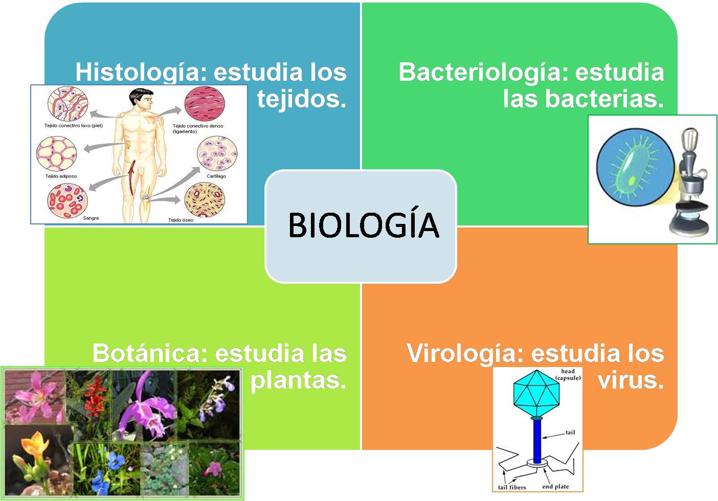 especialidad RESUMEN DE LA BIOLOGIA