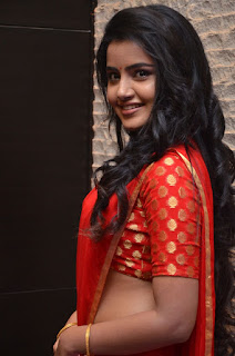 anupama parameswaran new saree stills anupama parameswaran new saree stills