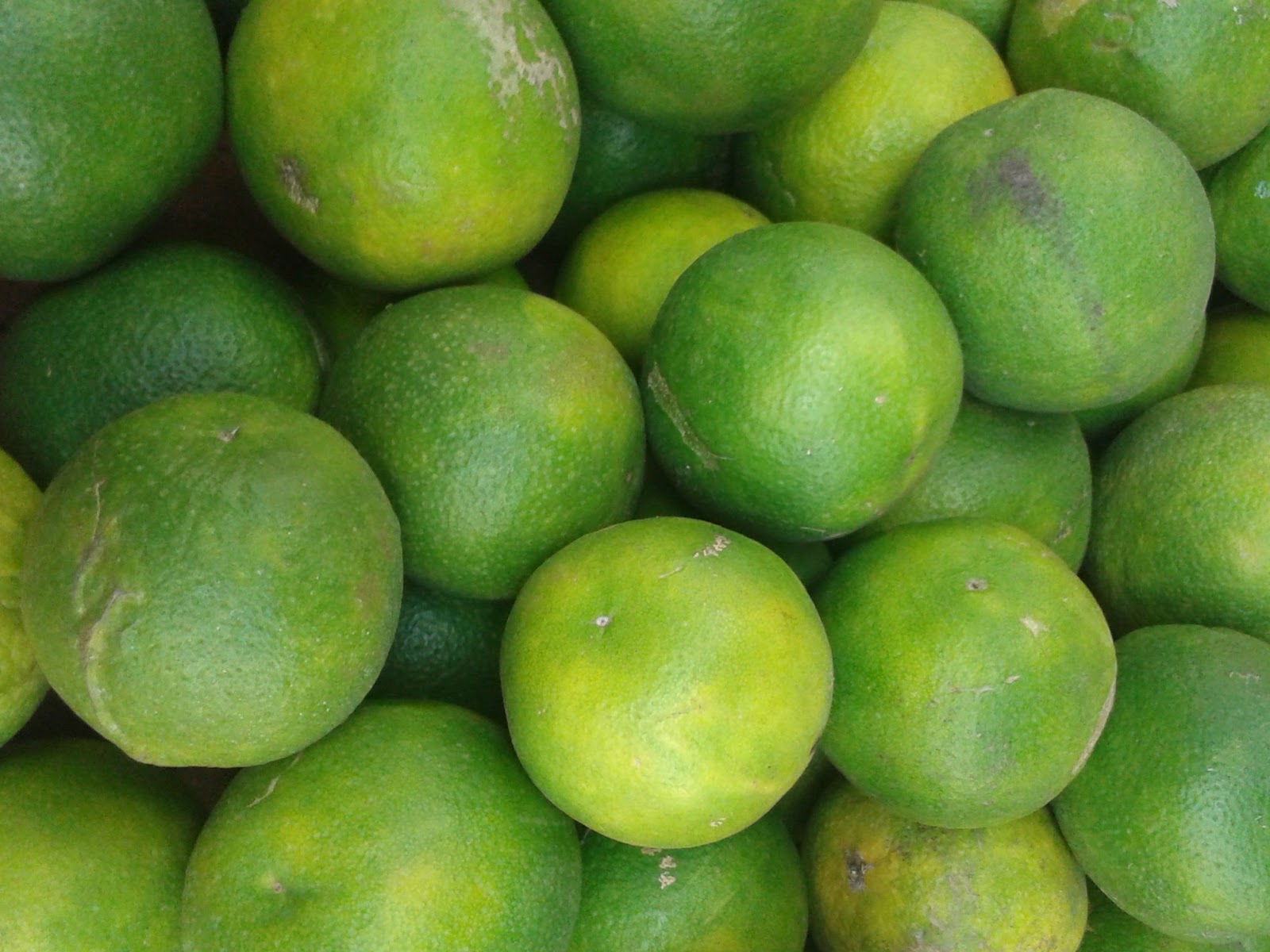Sweet Lemon In Hindi Health Benefits of Mosambi Sweet lime Citrus limetta
