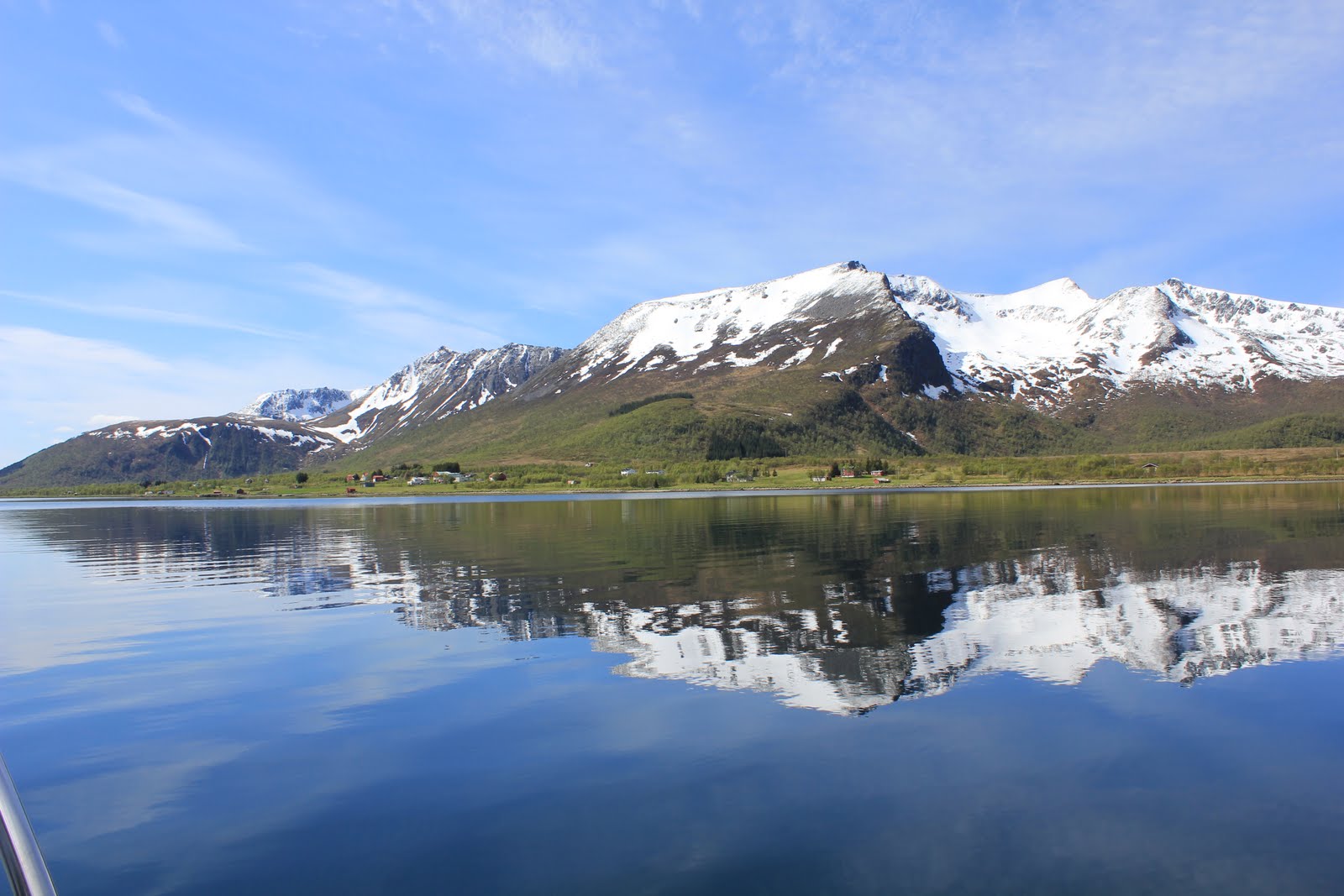 wilmapaatur-ris-yrenna-sortland-stokmarknes