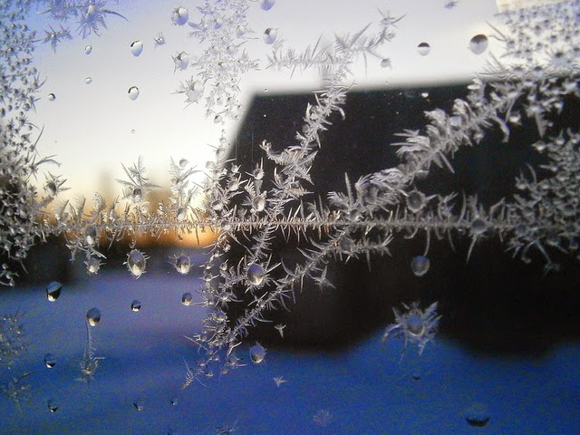 Image result for aken talv