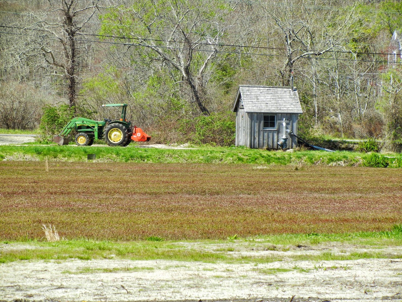 Every Day Cape Cod Cranberry Bog Along Route 6A in Sandwich, MA