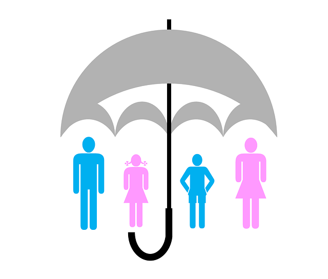 Always on the Hunt for Knowledge : Information Sources on Health Insurances