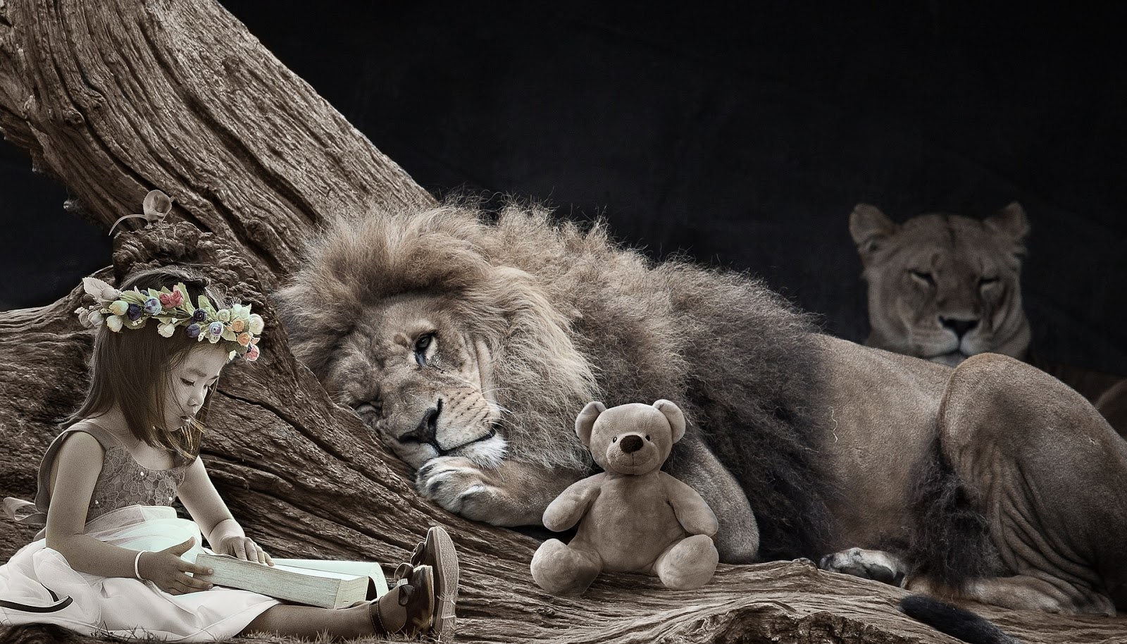 IELTS Storytelling & Stories Latest IELTS speaking questions & answers