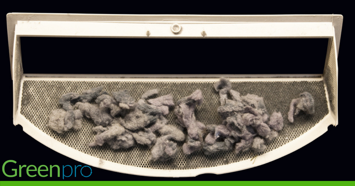 GreenPro Cleaning & Restoration Official Blog What are the Dangers of