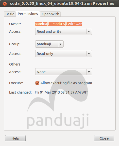 allow executing file as program allow executing file as program